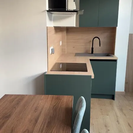 Fully Renovated 2 Bedrooms In Old Appartement